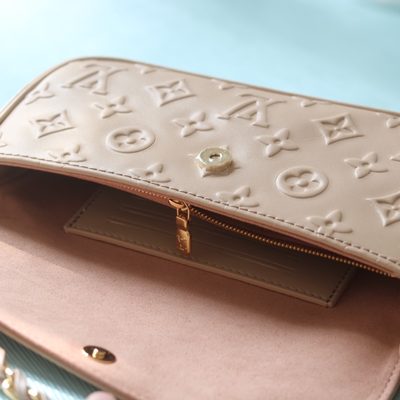 Louis Vuitton Bag — 8
