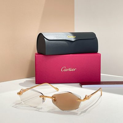 Cartier Sunglasses — 3