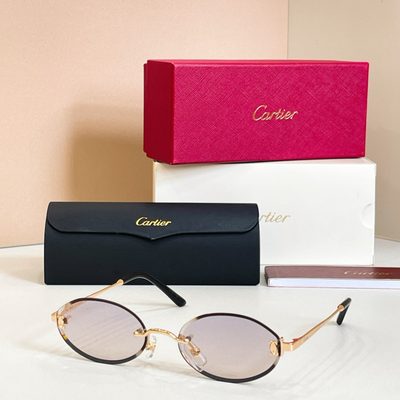 Cartier Sunglasses — 6