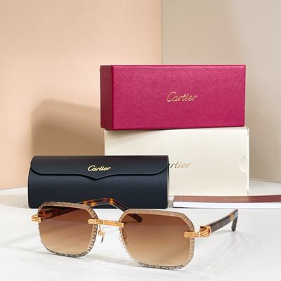 Cartier Sunglasses — 8
