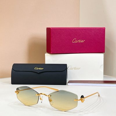 Cartier Sunglasses — 8