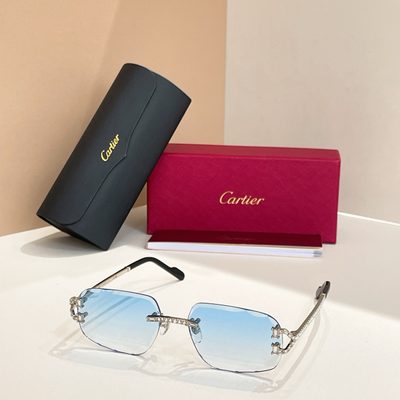 Cartier Sunglasses — 6