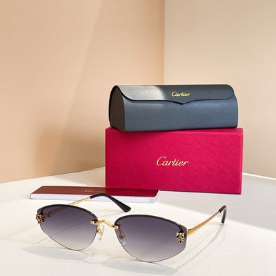 Cartier Sunglasses — 4