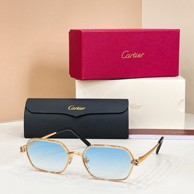 Cartier Sunglasses — 7