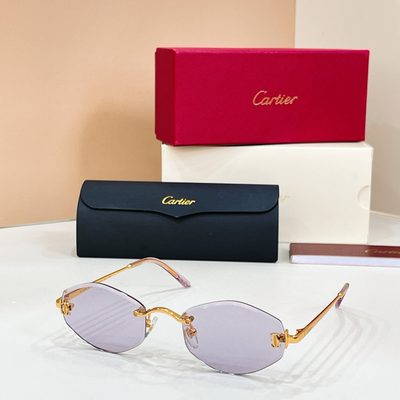 Cartier Sunglasses — 6