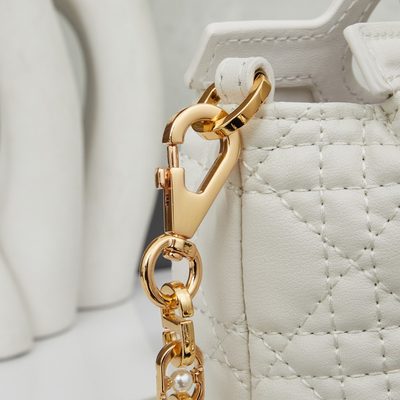 Dior Bag — 6