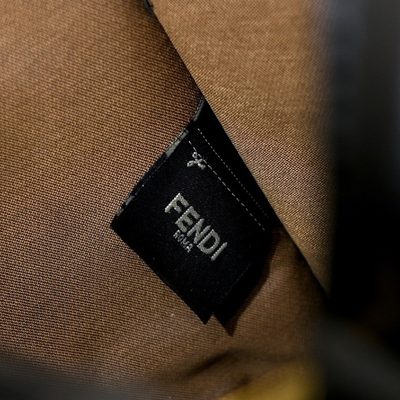 Fendi Bag — 8