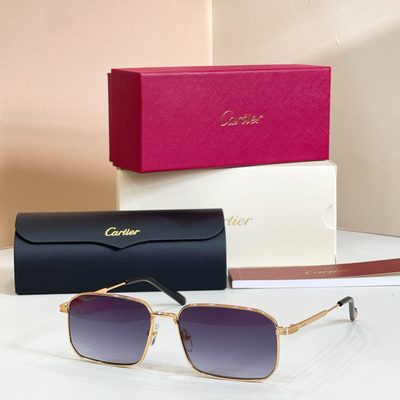 Cartier Sunglasses — 3