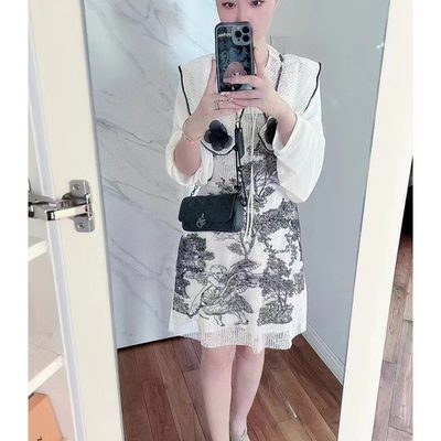 Dior Bag