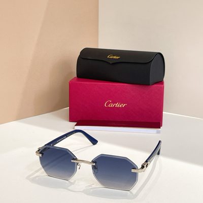 Cartier Sunglasses — 6