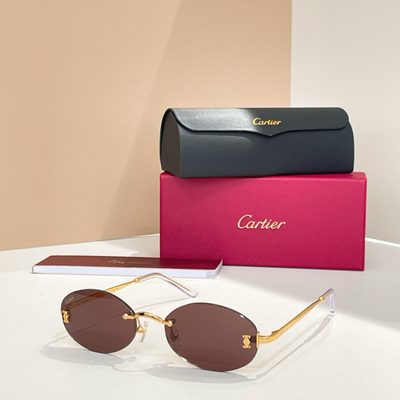 Cartier Sunglasses — 3
