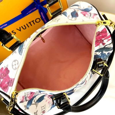 Louis Vuitton Bag — 9