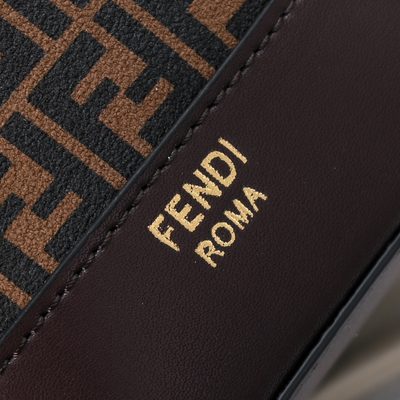 Fendi Bag — 5