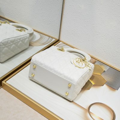 Dior Bag — 6