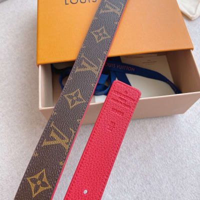 Louis Vuitton Belt — 9