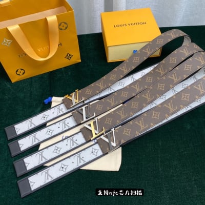 Louis Vuitton Belt — 9