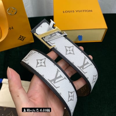 Louis Vuitton Belt — 8
